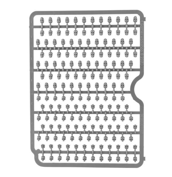 Citadel Skulls – Image 4