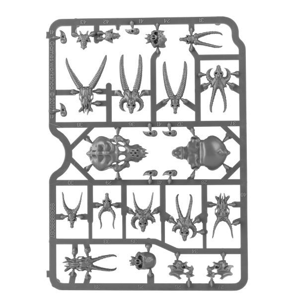 Citadel Skulls – Image 5