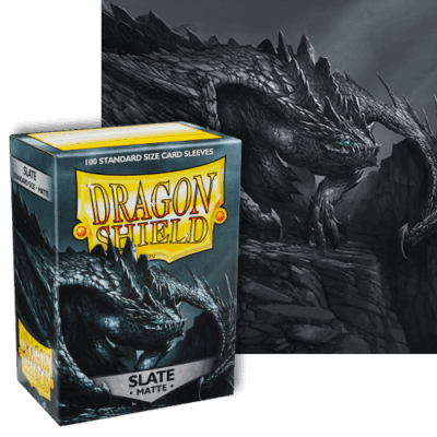 Sleeves Dragon Shield (100) - Slate Matte