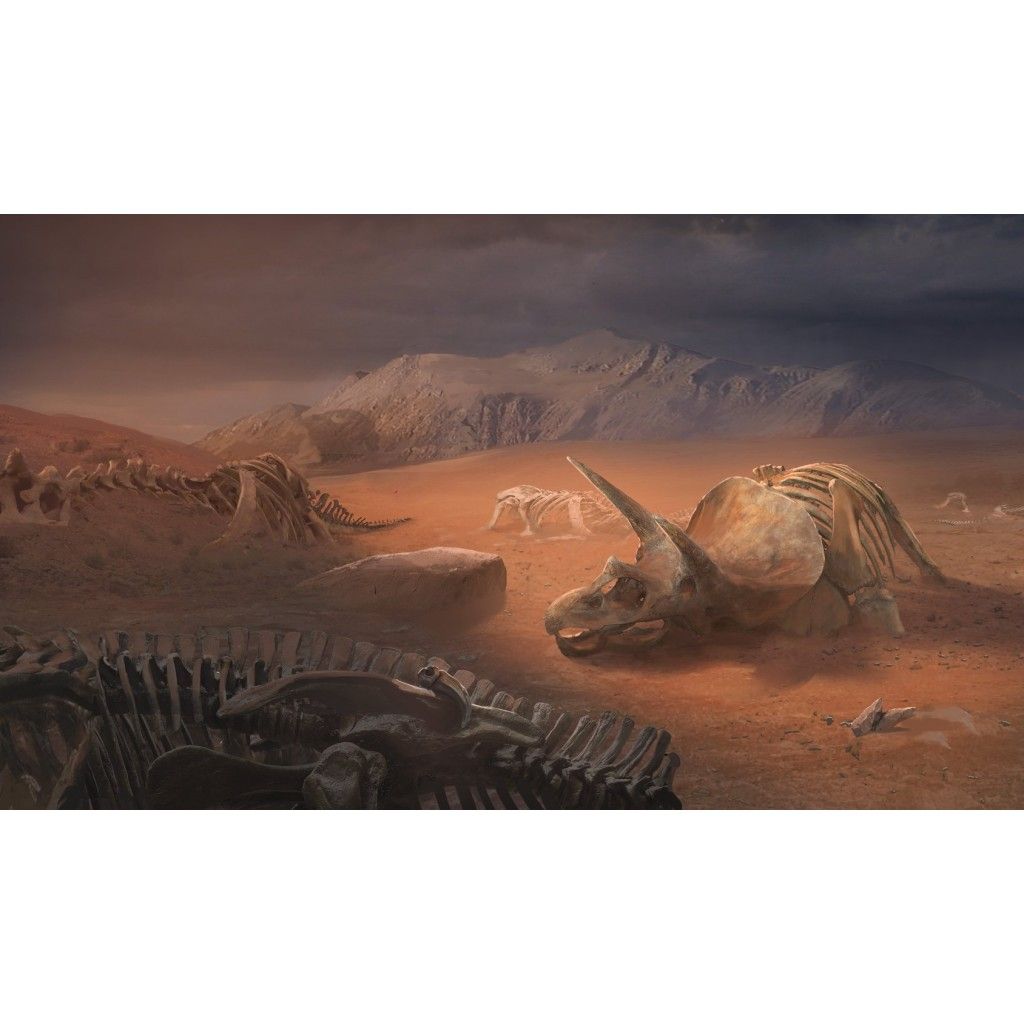 Unlock Exotic Adventures – Image 5