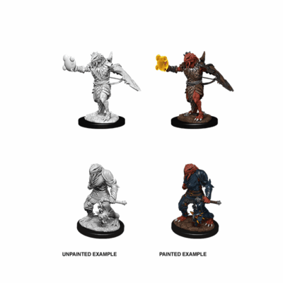 D&D Nolzur's Marvelous Miniatures - Dragonborn Paladin