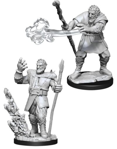 D&D Nolzur's Marvelous Miniatures - Firbolg Druid