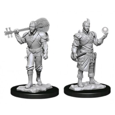 D&D Nolzur's Marvelous Miniatures - Half-Elf Bard