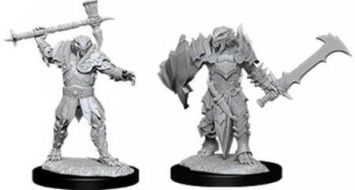 D&D Nolzur's Marvelous Miniatures - Dragonborn Paladin