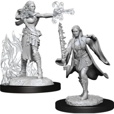 D&D Nolzur's Marvelous Miniatures - Multiclass Warlock + Sorcerer
