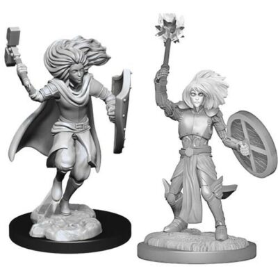 D&D Nolzur's Marvelous Miniatures - Changeling Cleric