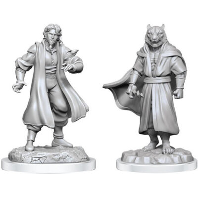 Critical Role Miniatures - Male Human Sorcerer Merchant & Tiger Demon