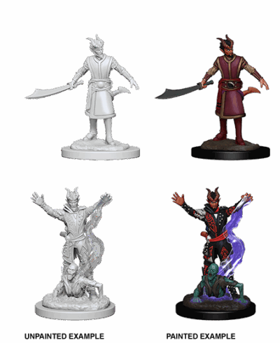 D&D Nolzur's Marvelous Miniatures - Tiefling Warlock