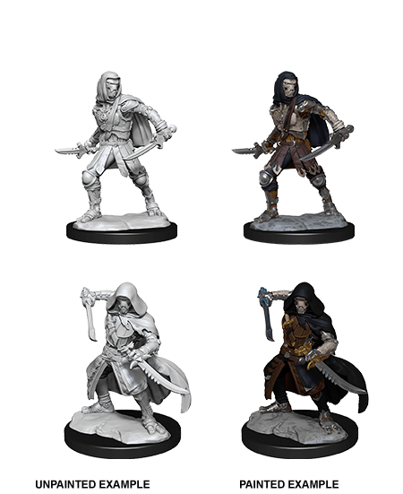 D&D Nolzur's Marvelous Miniatures - Warforged Rogue
