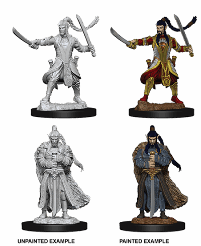 D&D Nolzur's Marvelous Miniatures - Elf Paladin