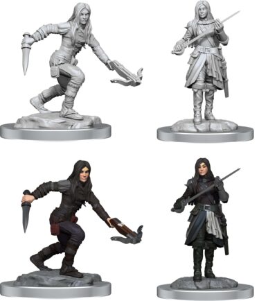 D&D Nolzur's Marvelous Miniatures - Half-Elf Rogue