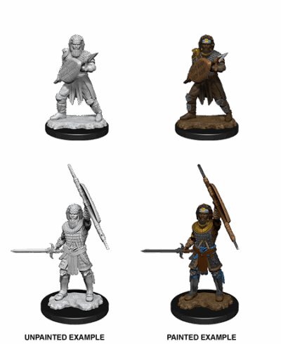 D&D Nolzur's Marvelous Miniatures - Human Fighter