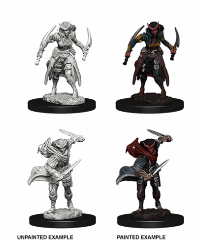 D&D Nolzur's Marvelous Miniatures - Tiefling Rogue