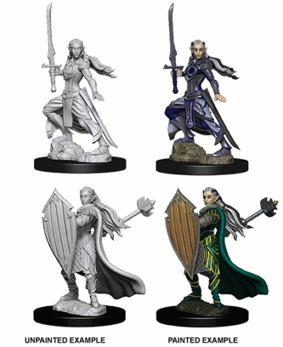 D&D Nolzur's Marvelous Miniatures - Elf Paladin