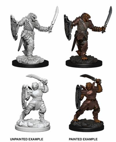 D&D Nolzur's Marvelous Miniatures - Dragonborn Paladin