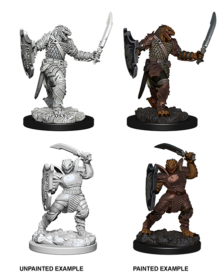 D&D Nolzur's Marvelous Miniatures - Dragonborn Paladin