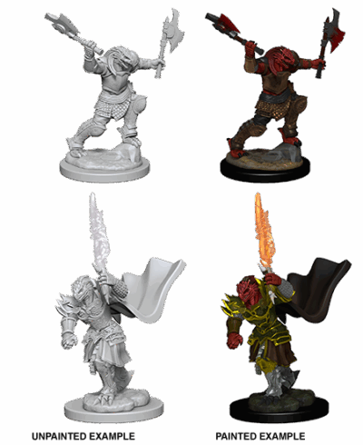 D&D Nolzur's Marvelous Miniatures - Dragonborn Fighter